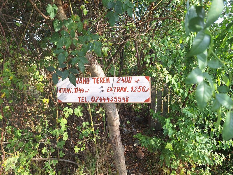 Comuna Tinosu, sat Predesti,